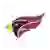 North Central (IL) Cardinals