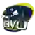 Buena Vista Beavers