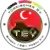 Turkischer SV Singen