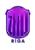 Ригас Зелли II