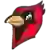 Otterbein Cardinals