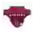 Roanoke Maroons