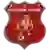Viitorul Vidra