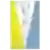 Олімпія Ельблонг II