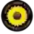 Sunflower State FC