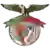 Angrense