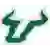 South Florida Bulls (Women)
