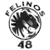 Фелинос 48