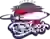Сити оф Бирмингэм Рокетс