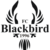 Blackbird
