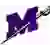 Millsaps Majors