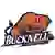 Bucknell Bison