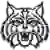 Wilmington Wildcats