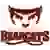 Willamette Bearcats