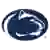Penn State Beaver Nittany Lions