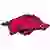 Arkansas Razorbacks