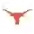 Texas (Women)