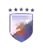 Вашингтон Датч Лайонз (жен)