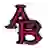 Arlington Baptist Patriots