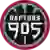 Репторс 905