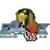 БК Забок