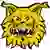 Tampereen Ilves II