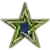 Dominican (IL) Stars