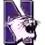Northwestern Wildcats