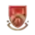 Stourbridge FC Ladies (Women)