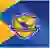 NFC Arena Academy