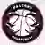 Falcons Basquete