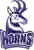Lethbridge Pronghorns