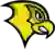 Felician Golden Falcons