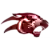 Đội Công Lập Panther