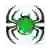 Hornsby Spiders (Women)