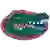 Florida Gators (Bayanlar)