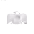 FSI