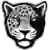 Texas AM-San Antonio Jaguars