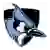 Johns Hopkins Blue Jays