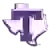 Tarleton State Texans (Women)