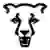 Colorado Springs Mountain Lions
