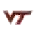 Вірджинія Тех Хокіс