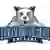 Daemen Wildcats