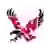 Eastern Washington Eagles (Bayanlar)