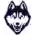 Connecticut Huskies