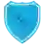 Defensores Unidos