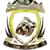 Venomous Vipers