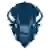 Howard Bison (Femmes) 
