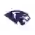 Đội ngũ Bóng rổ Nữ High Point Panthers