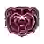 Missouri State Bears (Bayanlar)